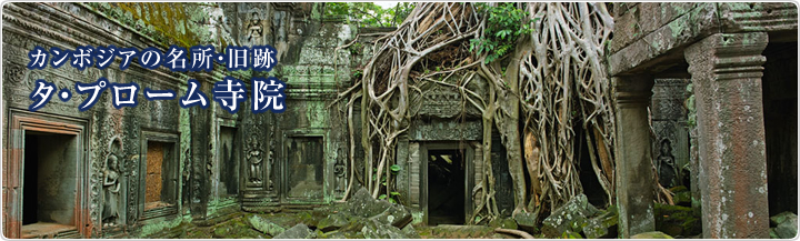 タ・プローム寺院(カンボジアの名所・旧跡紹介)